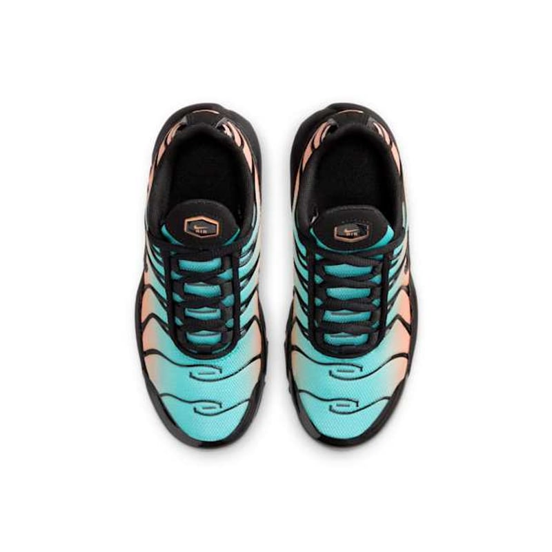 Nike Air Max Plus FZ0023-037 04