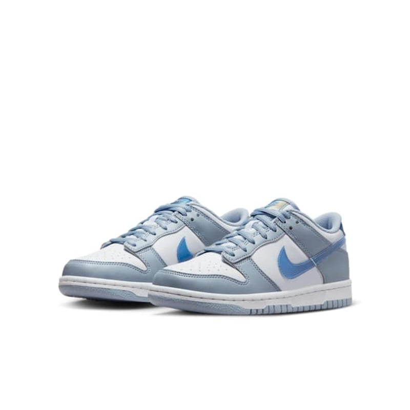 Nike Dunk Low Next Nature FJ4668-400 05