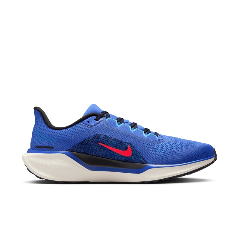 Nike Pegasus 41 FD2722-401 03