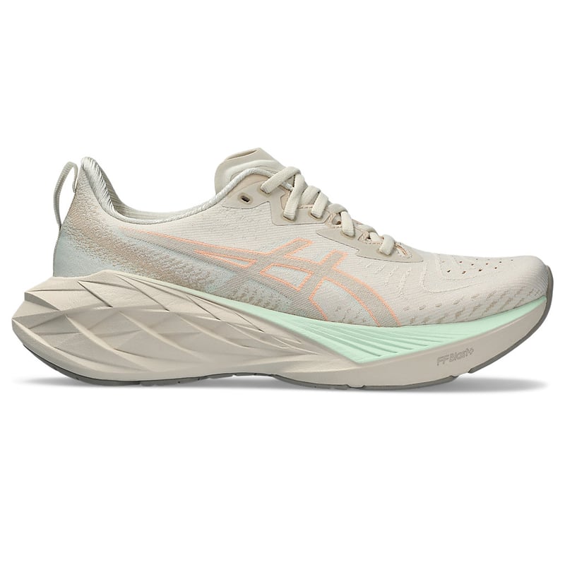 ASICS Novablast 4 1012B510-250 01