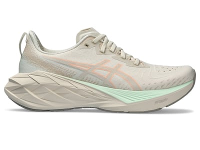 ASICS Novablast 4 1012B510-250