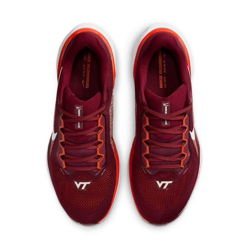 Nike Pegasus 41 FZ5152-600 04