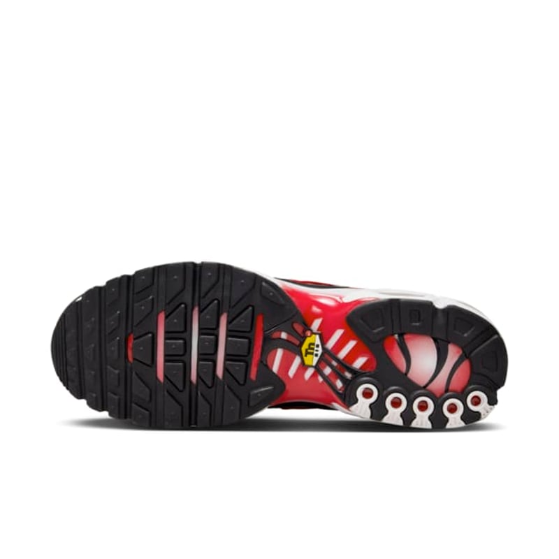 Nike Air Max Plus HM9611-100 02