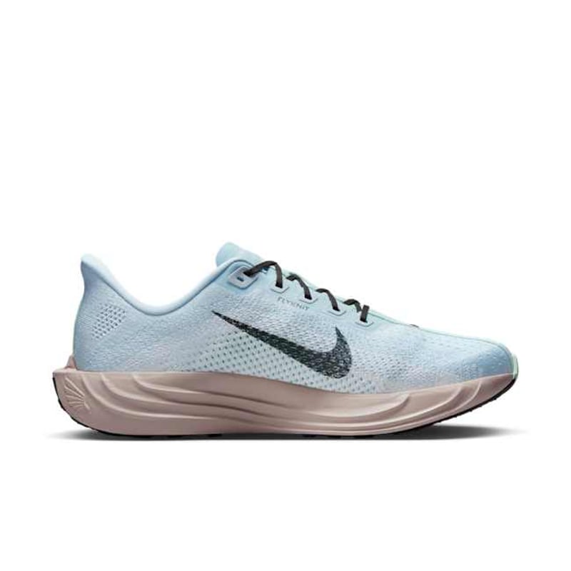 Nike Pegasus Plus FQ7262-406 03