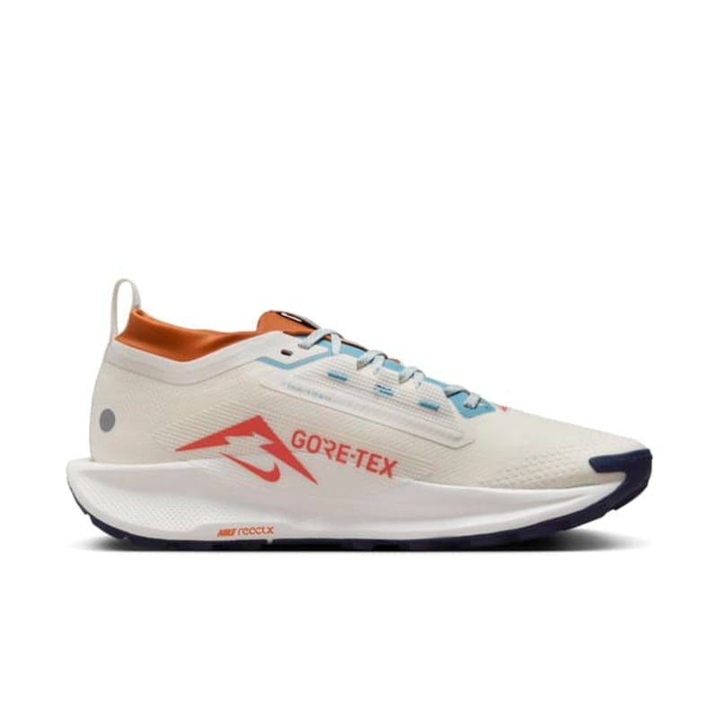Nike Pegasus Trail 5 GORE-TEX FQ0908-003 03