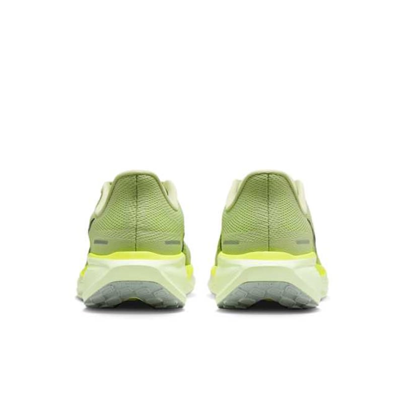 Nike Pegasus 41 FD2722-303 06
