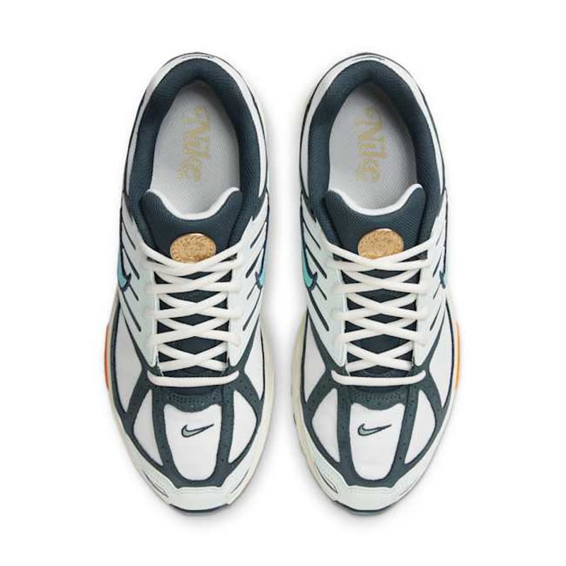 Nike Air Pegasus 2K5 HM3727-131 04