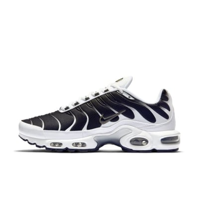 Nike Air Max Plus CT1094-102