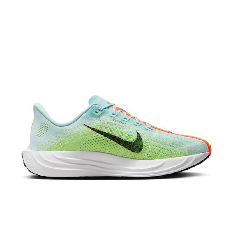 Nike Pegasus Plus FQ7262-400 03