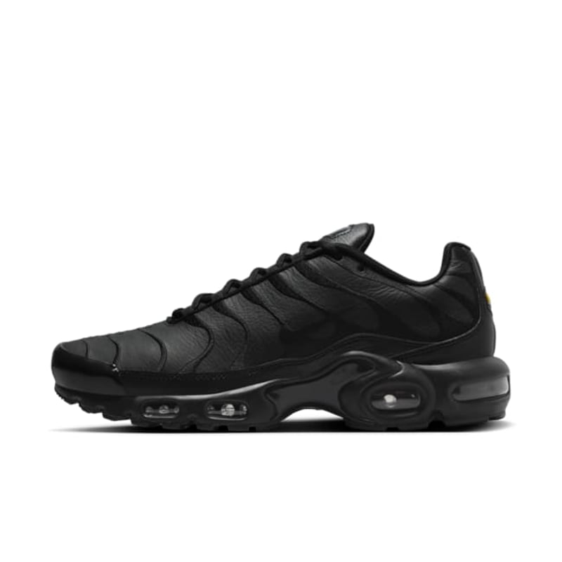 Nike Air Max Plus AJ2029-001 01