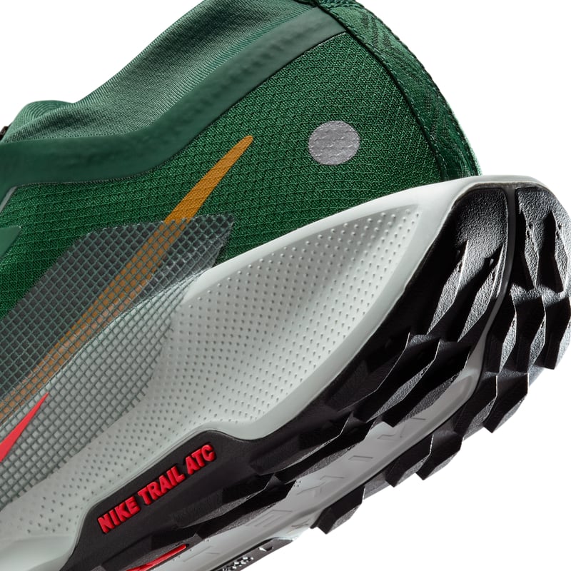 Nike Pegasus Trail 5 GORE-TEX FQ0908-301 08