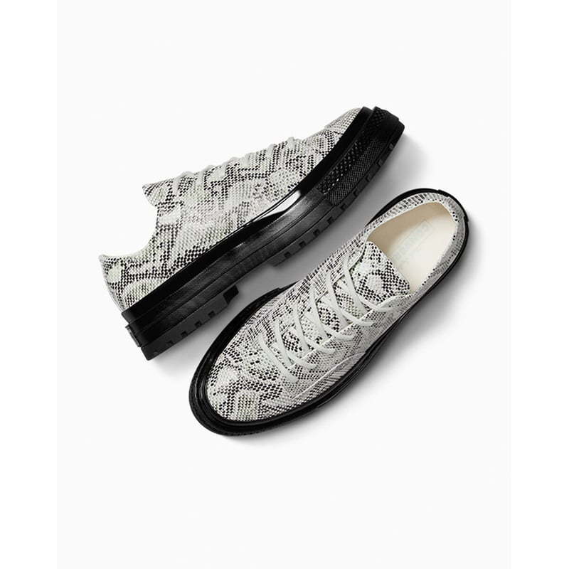 Converse Chuck 70 Low A15045C 04