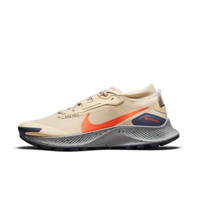 Nike Pegasus Trail 3 GORE-TEX DC8793-200