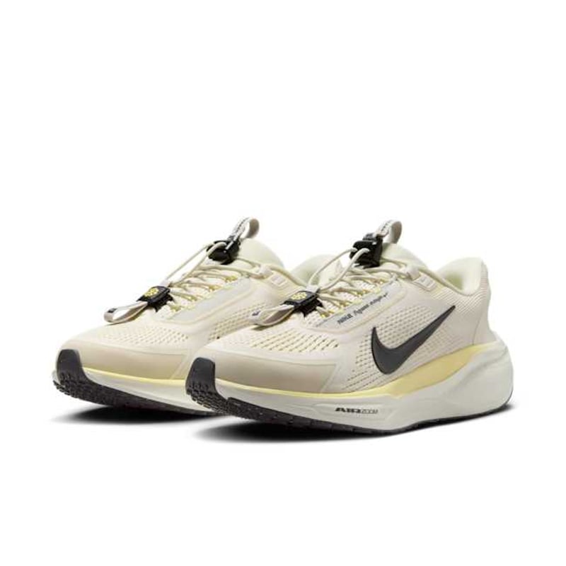 Nike Pegasus EasyOn FQ7844-102 05