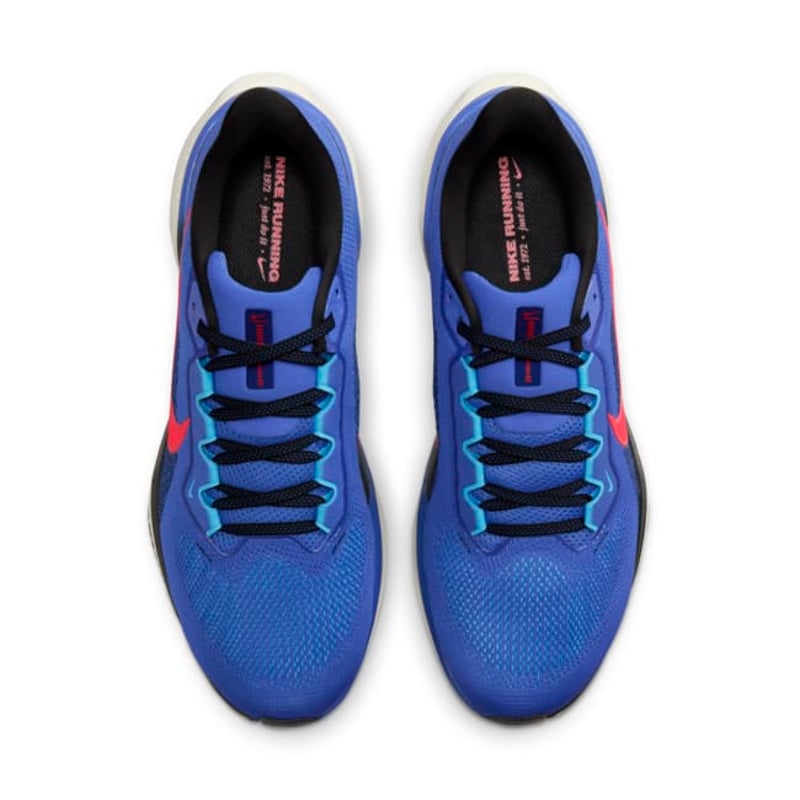 Nike Pegasus 41 FD2722-401 04