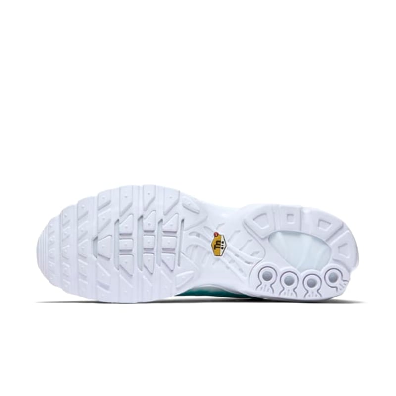 Nike Air Max Plus 899595-301 02