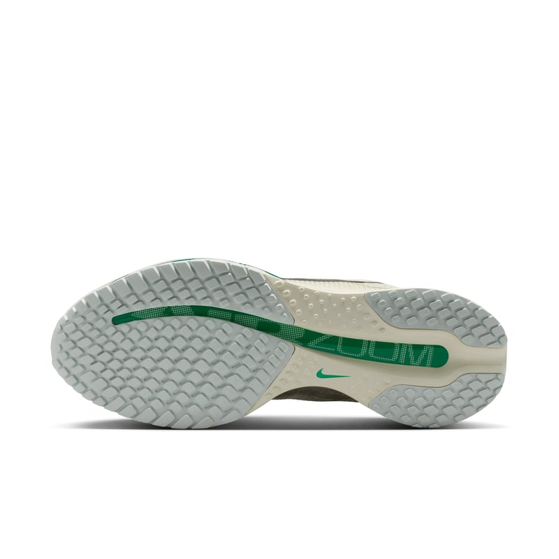 Nike Pegasus Premium HQ2593-008 02