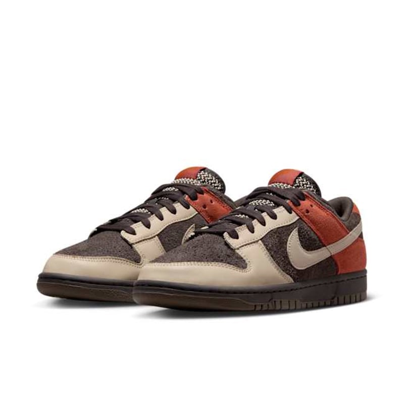 Nike Dunk Low FV0395-200 05