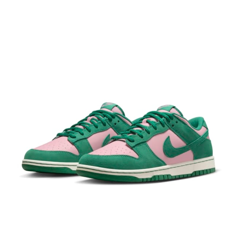 Nike Dunk Low Retro SE FZ0549-600 05
