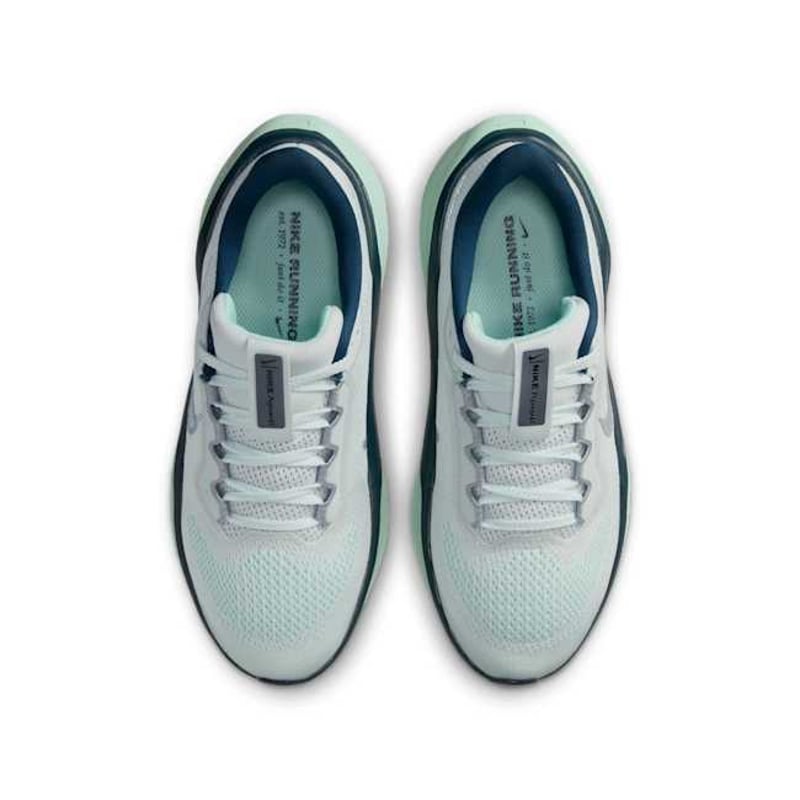 Nike Pegasus 41 FN5041-404 04