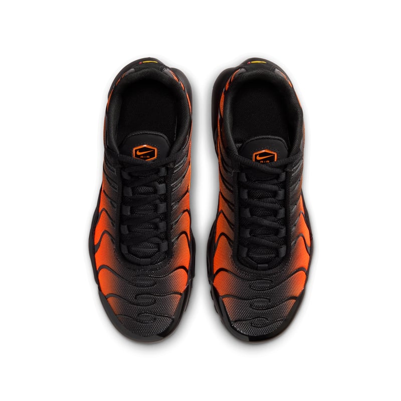 Nike Air Max Plus CD0609-041 04