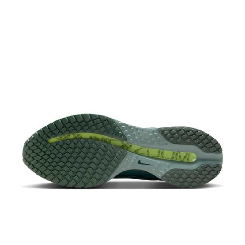 Nike Pegasus Premium HQ2592-009 02