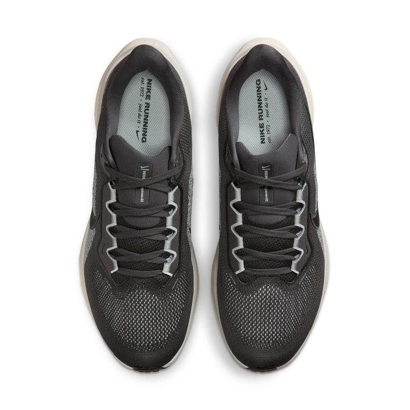 Nike Pegasus 41 FD2722-215 04
