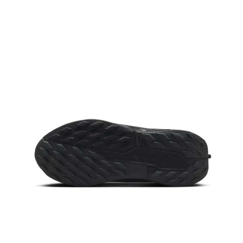 Nike Pegasus Trail 5 FV5638-001 02