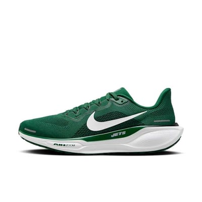 Nike Pegasus 41 x NFL FZ5089-300