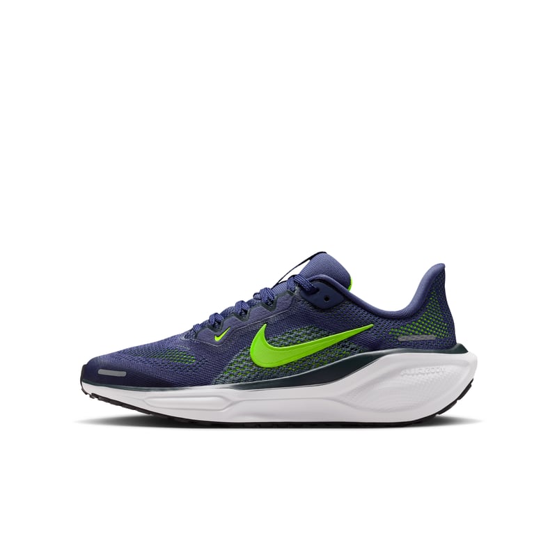 Nike Pegasus 41 FN5041-501 01