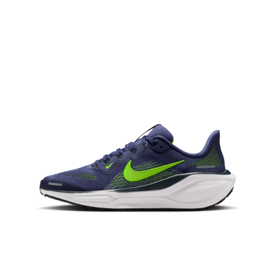 Nike Pegasus 41 FN5041-501