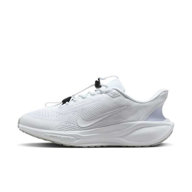 Nike Pegasus EasyOn FQ7837-101 01