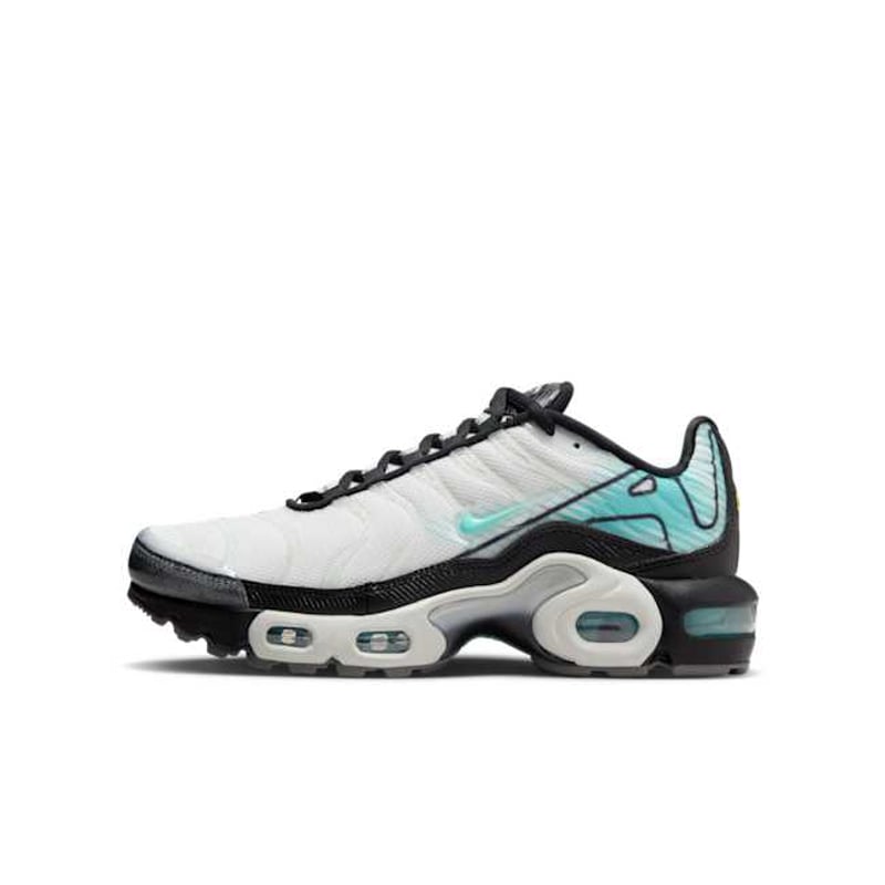 Nike Air Max Plus IB2869-100 01