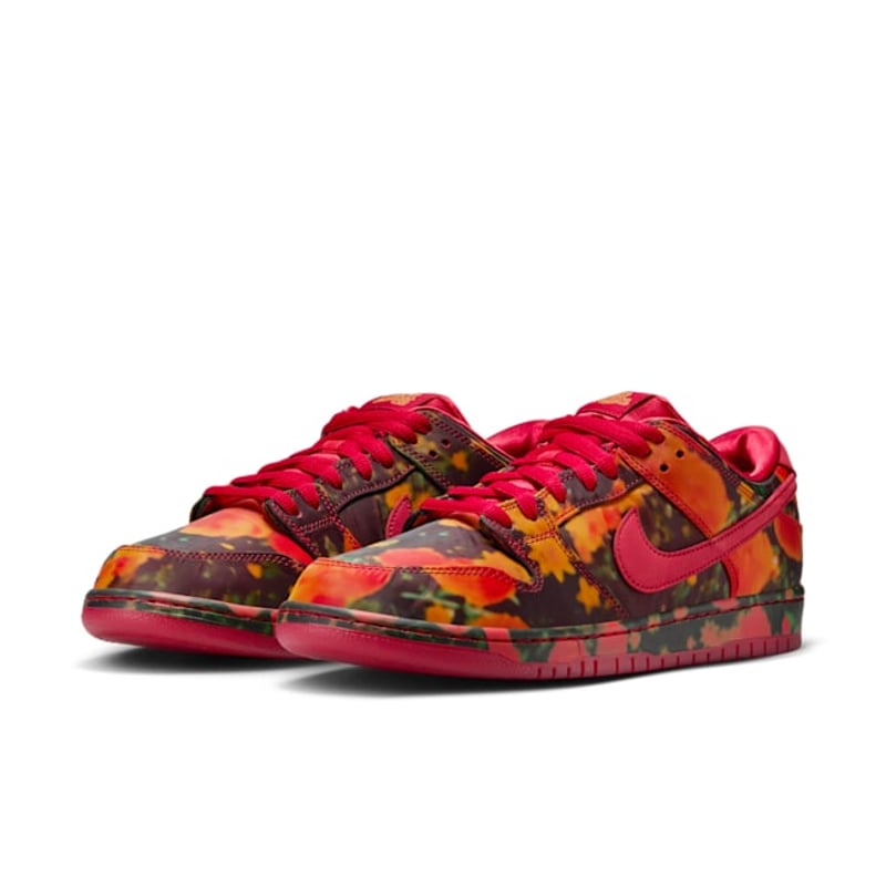 Nike SB Dunk Low Pro x The Wizard of Oz FZ1291-600 05