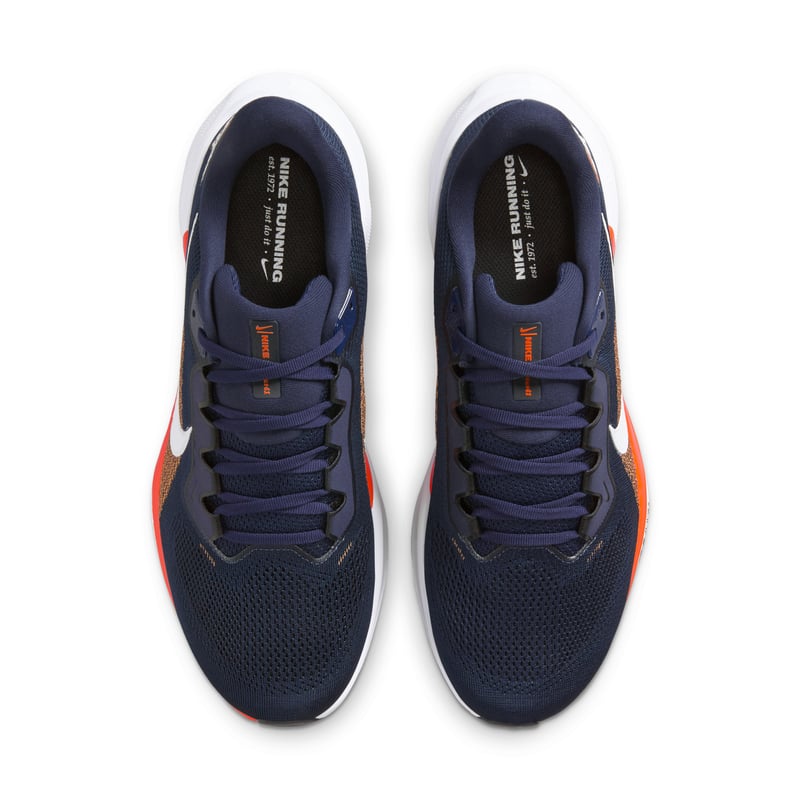 Nike Pegasus 41 x NFL IB3192-400 04