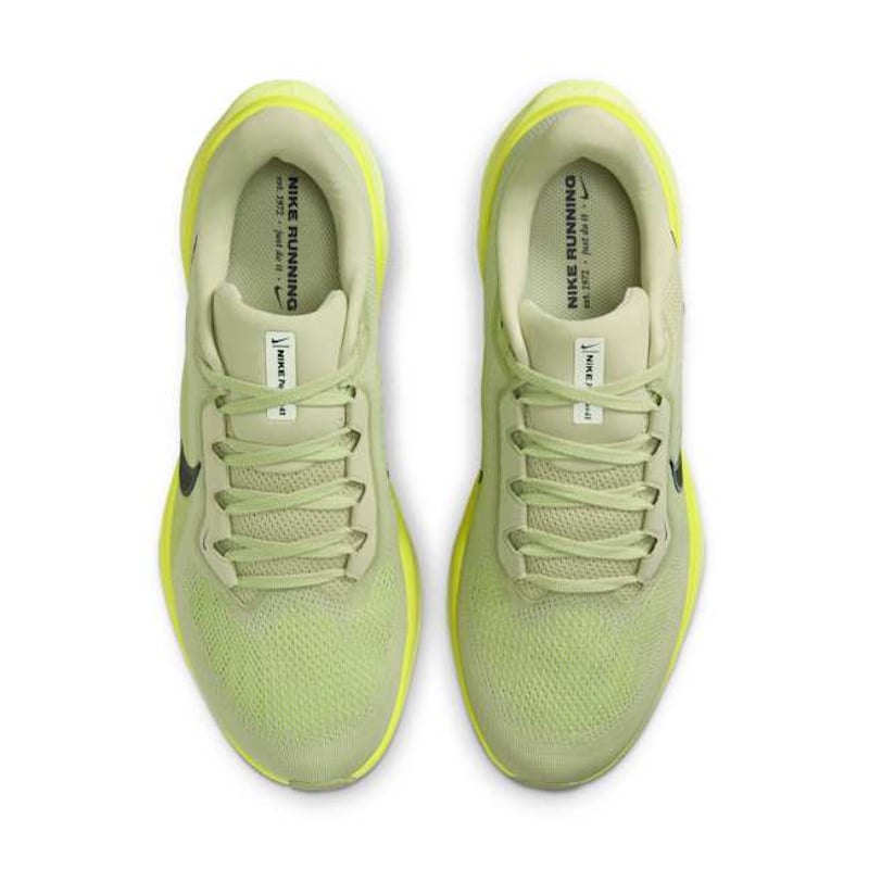 Nike Pegasus 41 FD2722-303 04