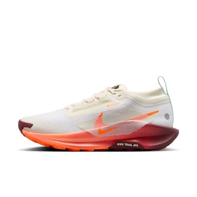 Nike Pegasus Trail 5 GORE-TEX FQ0912-104
