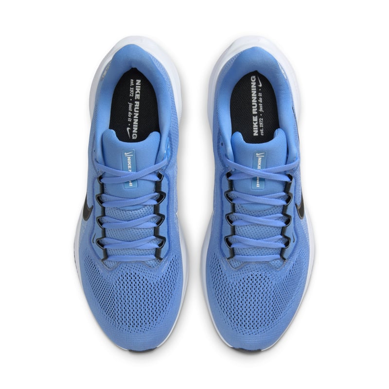 Nike Pegasus 41 IB3263-400 04
