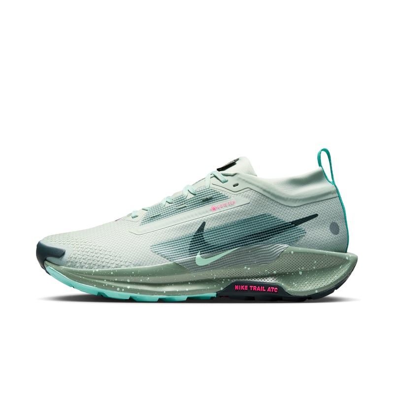Nike Pegasus Trail 5 GORE-TEX FQ0908-013 01