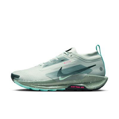 Nike Pegasus Trail 5 GORE-TEX FQ0908-013