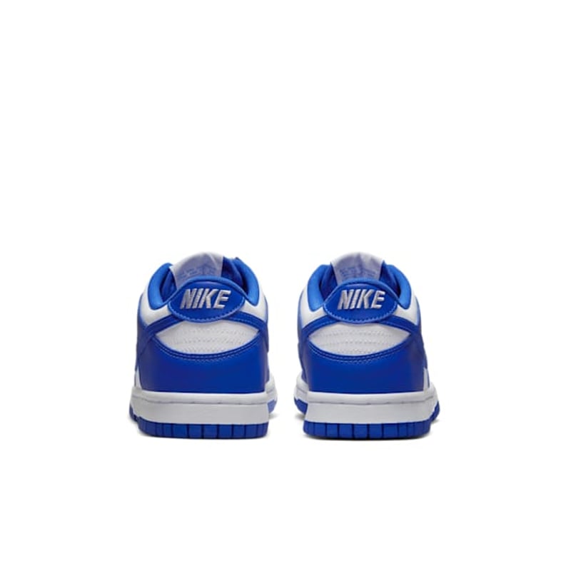 Nike Dunk Low DV7067-400 06