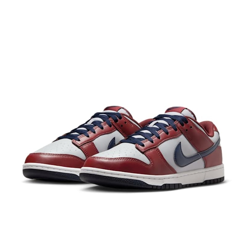 Nike Dunk Low HF5441-003 05