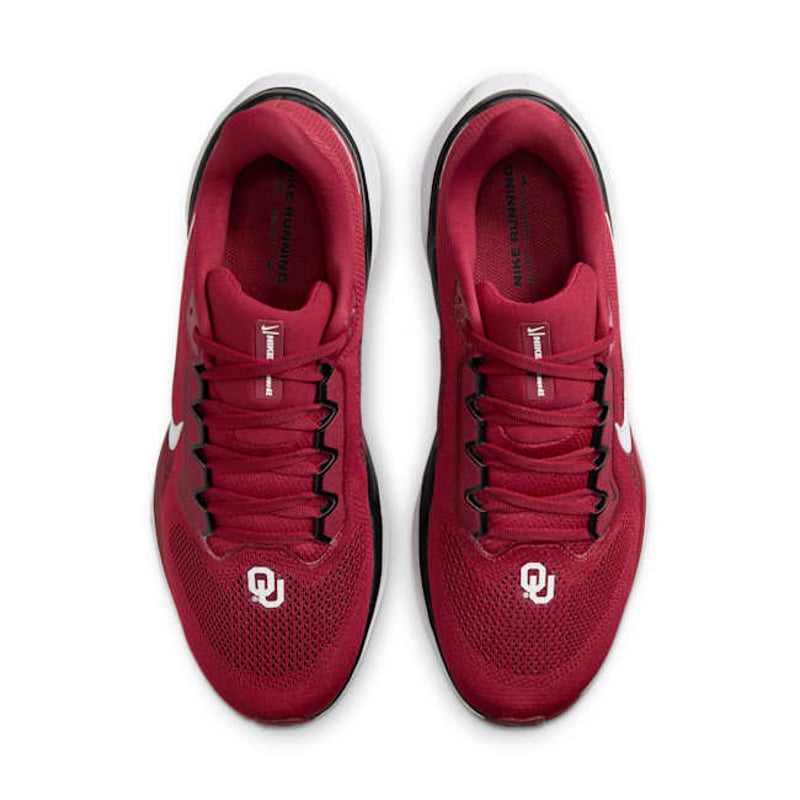 Nike Pegasus 41 FZ5137-600 04