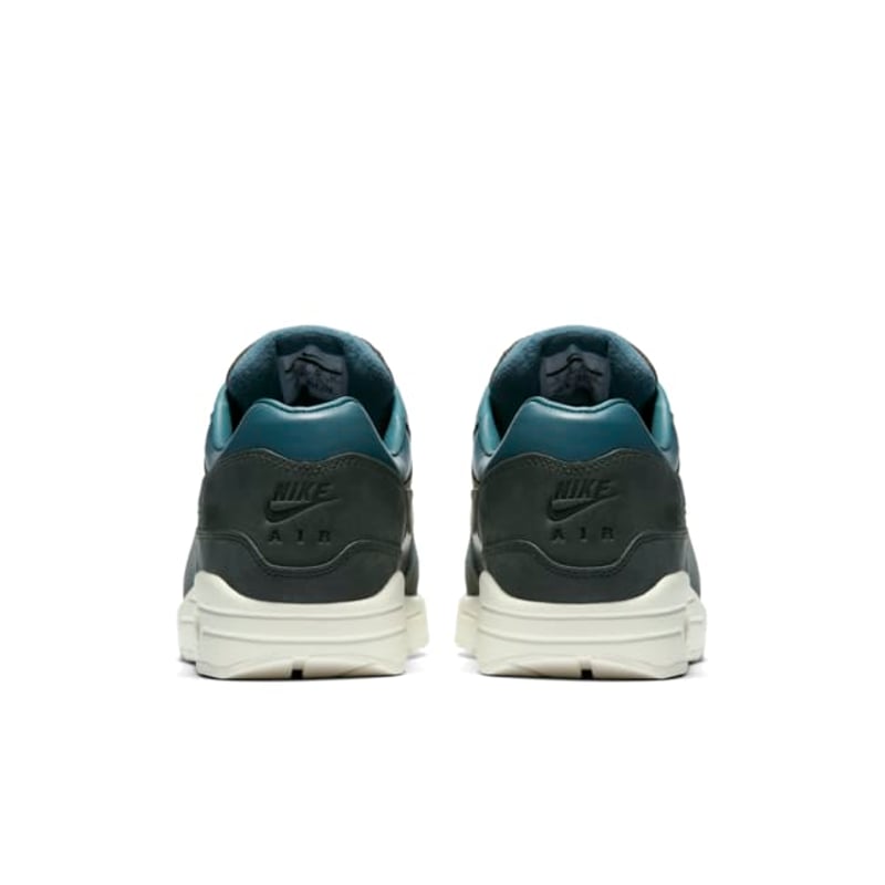 Nike Air Max 1 Pinnacle 859554-300 06