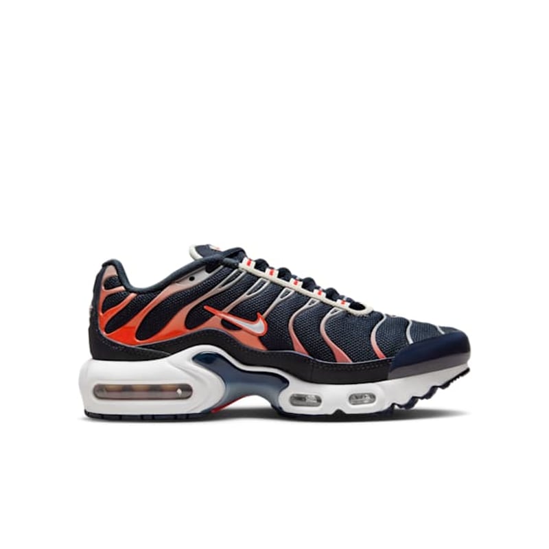 Nike Air Max Plus CD0609-408 03