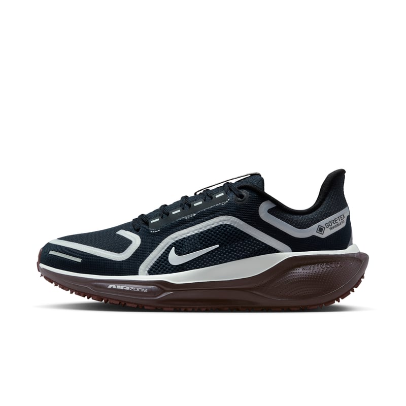 Nike Pegasus 41 GORE-TEX FQ1357-401 01