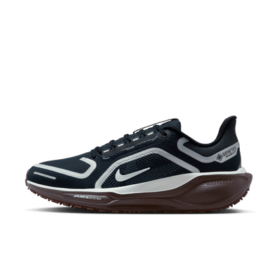 Nike Pegasus 41 GORE-TEX FQ1357-401
