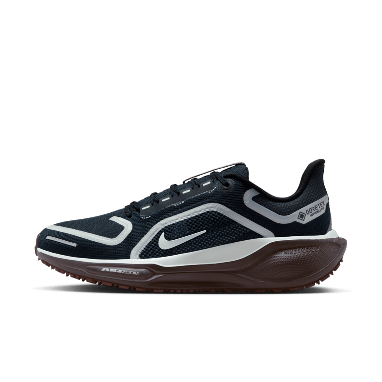 Nike Pegasus 41 GORE-TEX FQ1357-401 01