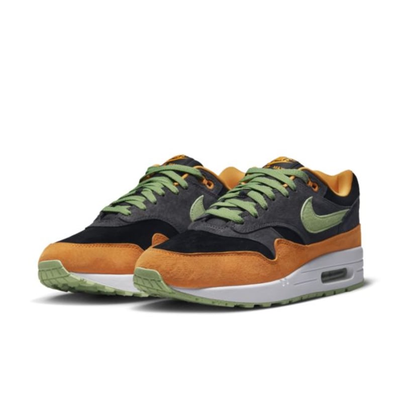 Nike Air Max 1 ‘Ugly Duckling’ DZ0482-001 04