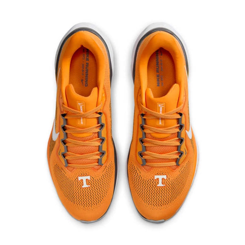 Nike Pegasus 41 FZ5144-800 04